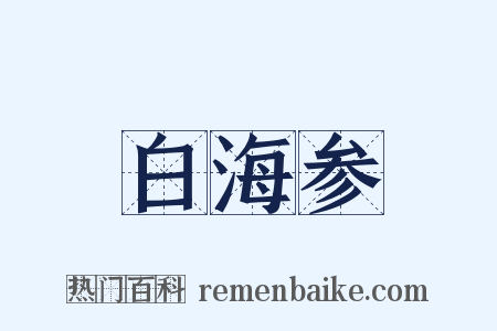 白海参是什么意思的图片